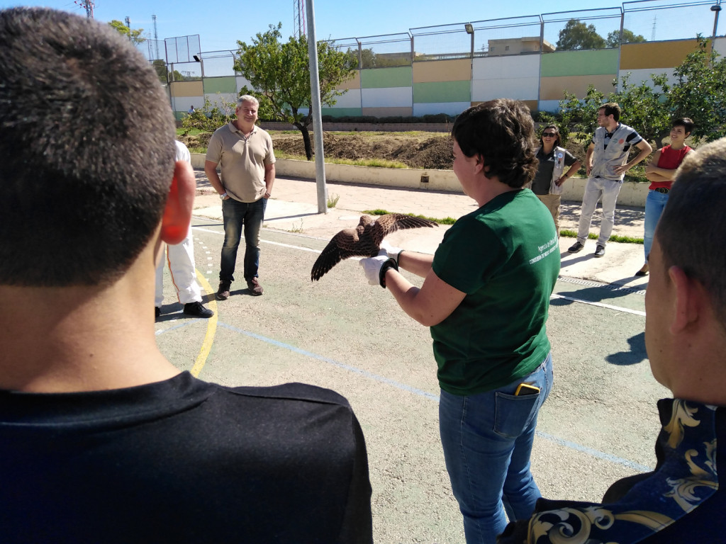 Los menores atendidos en el centro Lagunillas' de Jaén realizan una serie de talleres sobre el animal y el medio ambiente | Fundación Diagrama