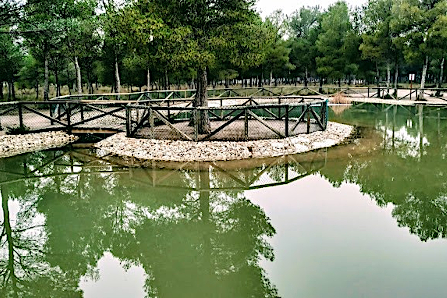 Acampada jóvenes La Atalaya en área recreativa El Plano