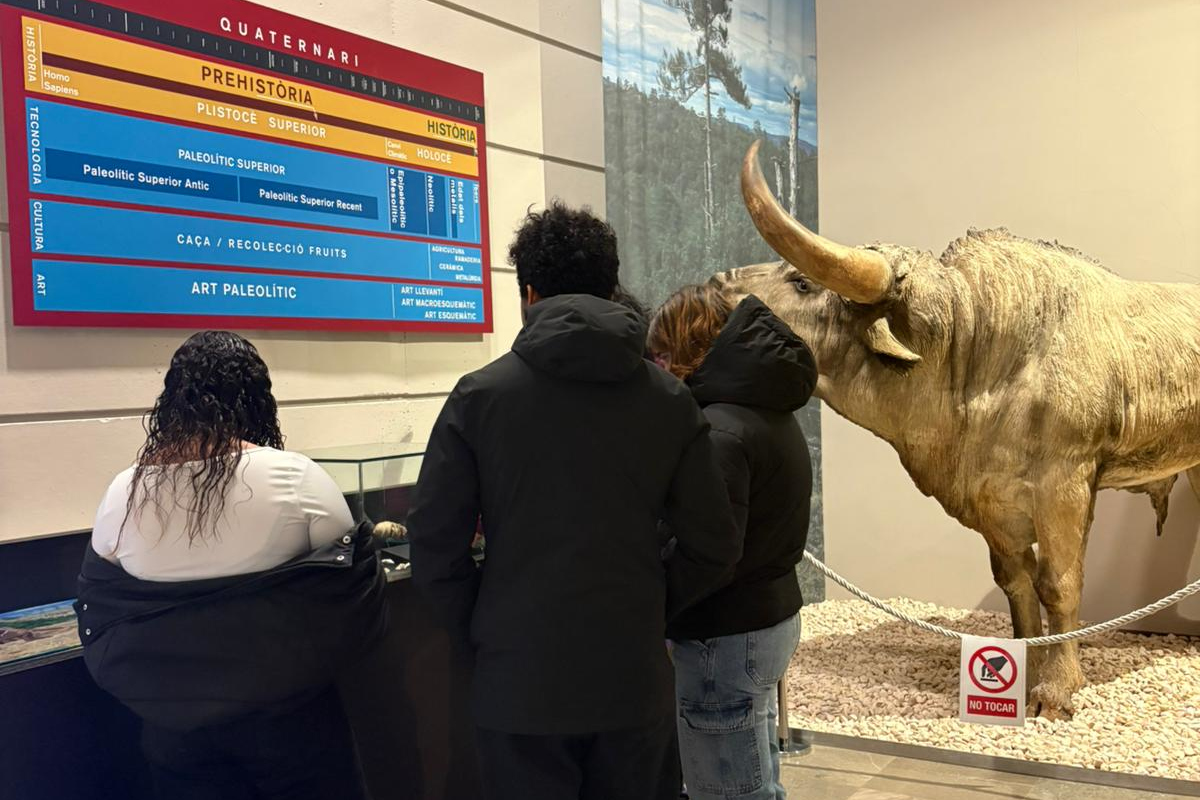 Visita al Museo de Valltorta