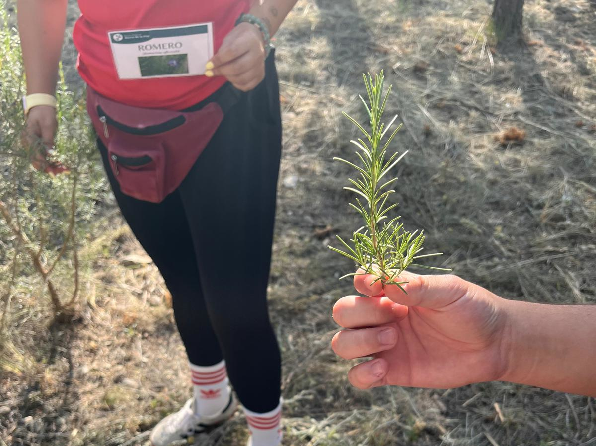 Jóvenes del centro educativo ‘La Zarza’ de Murcia participan en una ruta senderista sobre concienciación ambiental