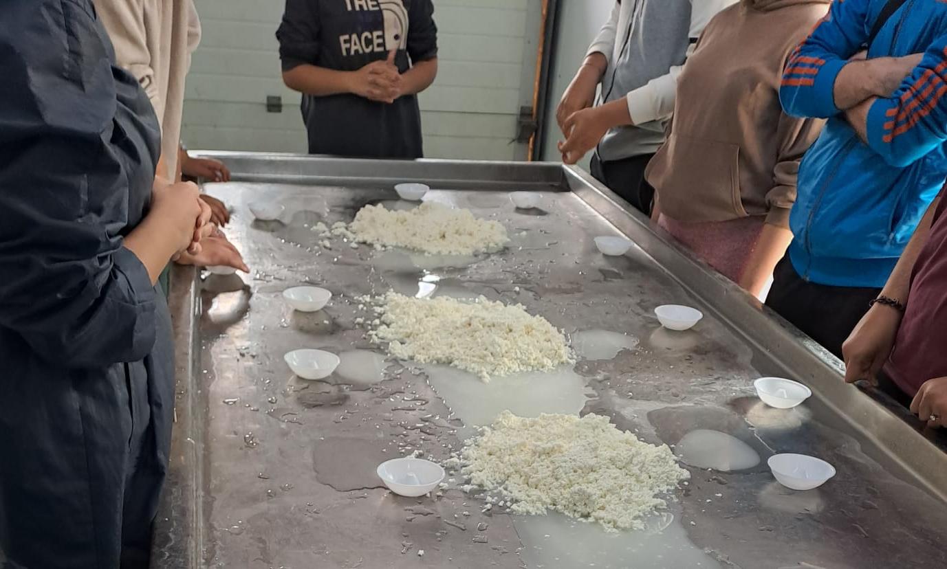 Jóvenes Residencia Baix Maestrat en Cooperativa Quesos Catí