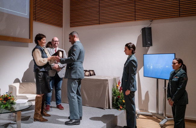 VIII Galardones Profesionalidad y Compromiso (2025)