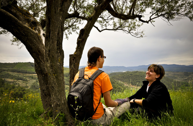 Proyecto Termes de educación medioambiental (2011)