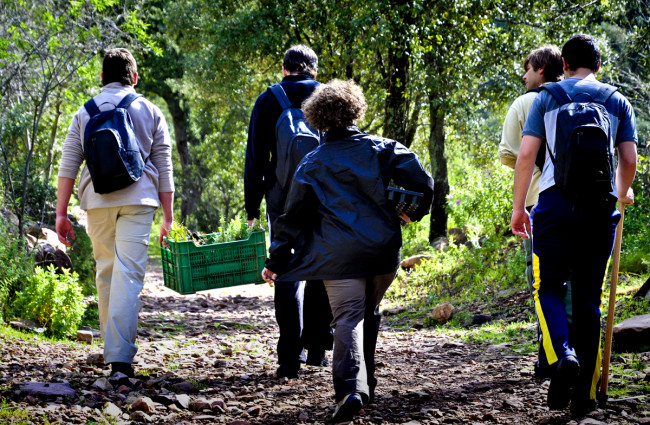 Proyecto Termes de educación medioambiental (2011)