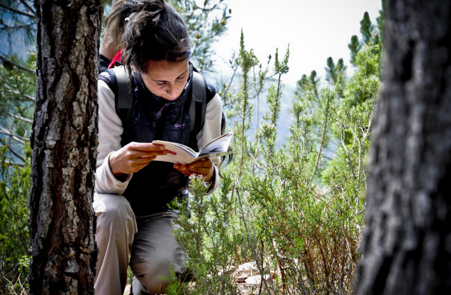 Proyecto Termes de educación medioambiental (2011)