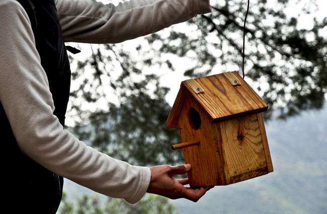 Proyecto Termes de educación medioambiental (2011)