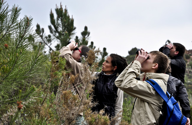 Proyecto Termes de educación medioambiental (2011)