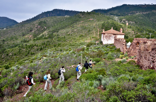 Proyecto Termes de educación medioambiental (2011)