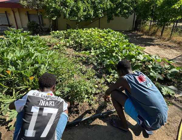 Dos jóvenes trabajan en el huerto urbano ubicado en el centro