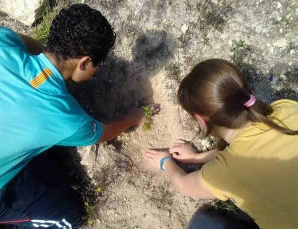 Los menores del Centro de Acogida ‘Lucentum’ de Alicante colaboran en la reforestación del Monte Tossal