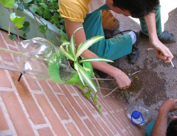 El Centro de Reeducación ‘Pi Gros’ desarrolla un proyecto de cultivo hidropónico en colaboración con la Universidad Jaume I de Castellón