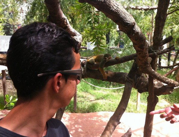 Los menores del Centro ‘San Miguel’ de Granada conocen fauna y ecosistemas de América del Sur en el parque Selwo Marina