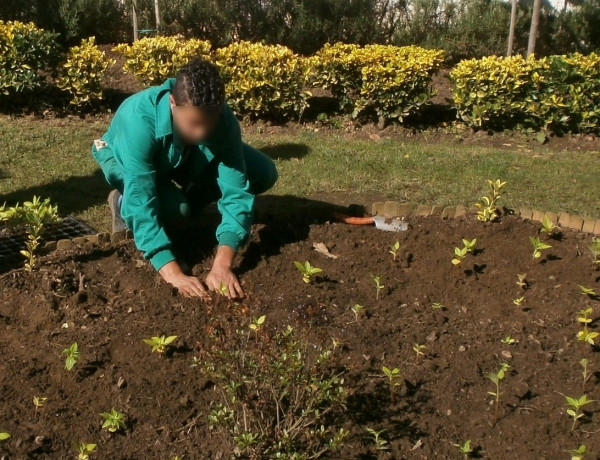 El Centro Socioeducativo Juvenil de Cantabria inicia un nuevo curso prelaboral de jardinería