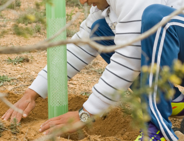 Los menores del centro ‘Els Reiets’ de Alicante participan en la reforestación del Clot de Galvany