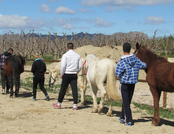 Los menores del centro ‘La Zarza’ de Abanilla (Murcia) participan en una actividad de zooterapia con caballos