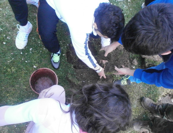 Los jóvenes del Centro Socioeducativo Juvenil de Cantabria celebran el Día del Árbol con una actividad medioambiental