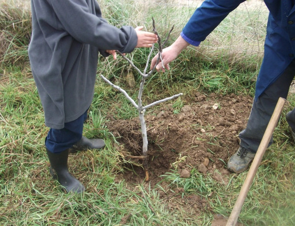 Los menores de la residencia ‘Iregua’ de Logroño participan en una campaña de replantación forestal