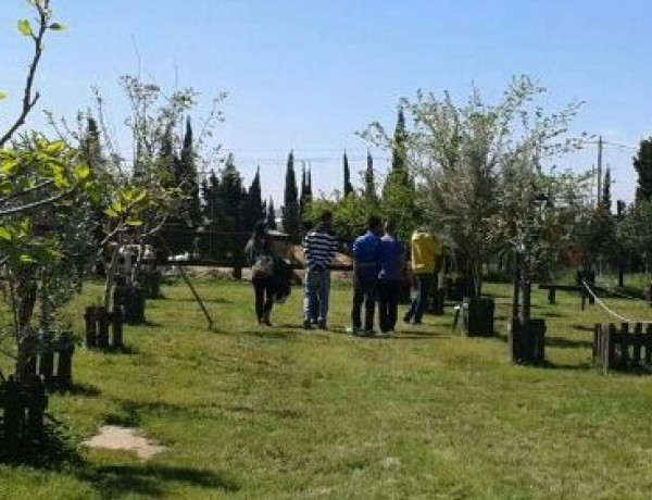 Los menores del hogar de acogida ‘Anassim’ visitan el Museo de la Horchata de Valencia