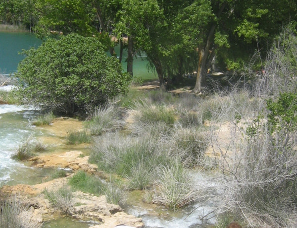 Los jóvenes del centro ‘La Cañada’ de Fernán Caballero (Ciudad Real) practican senderismo por las Lagunas de Ruidera