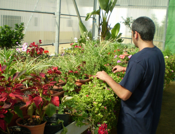 Comienza la formación en jardinería de la Casa de Oficios del centro ‘Los Alcores’ de Carmona (Sevilla)