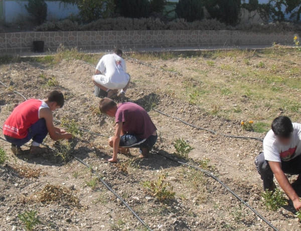Los menores del centro ‘Las Lagunillas’ de Jaén participan en diversas actividades de voluntariado solidario durante el verano
