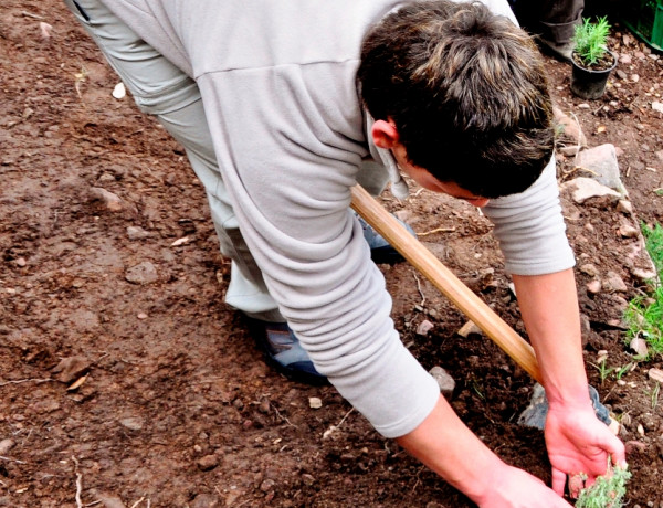 Fundación Diagrama desarrolla un proyecto de voluntariado medioambiental en Sax (Alicante) dirigido a menores y jóvenes de la provincia