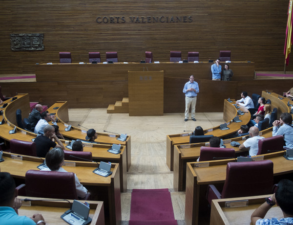 Los menores de 'Pi Gros' visitan las Corts Valencianes. Fundación Diagrama.