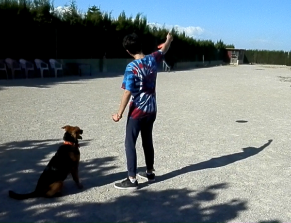 Actividad con Asociación Vinculando Vidas. Terapia Asistida Perros 2017. Centro 'Los Pinos'. Fundación Diagrama.