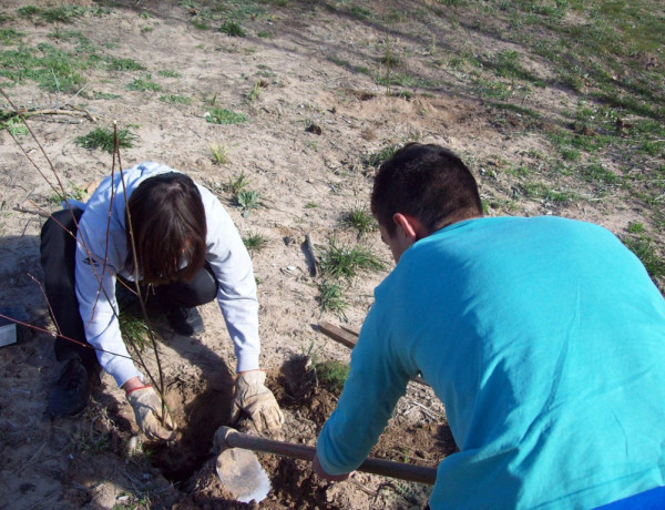 Los menores del centro de reeducación ‘Pi i Margall’ de Burjassot participan en una actividad de voluntariado medioambiental en el río Júcar. Fundación Diagrama. Comunidad Valenciana 2018.