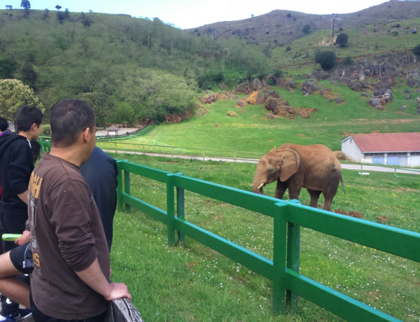 Visita de menores de 'El Acebo' al Parque Cabárceno. Fundación Diagrama.