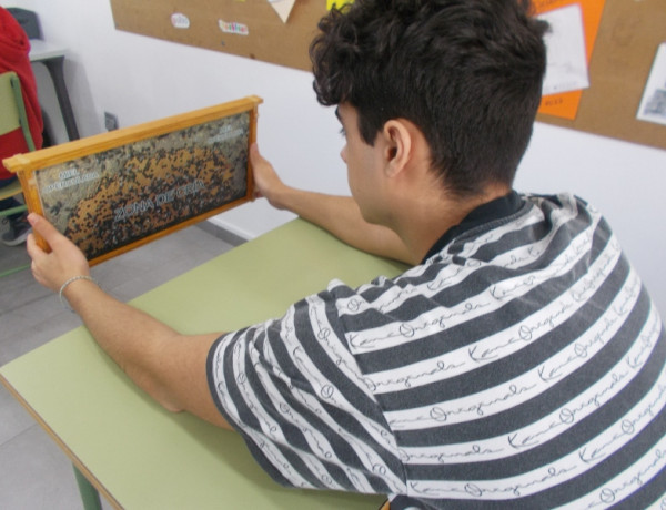 La apicultura tradicional protagoniza un nuevo taller formativo en el centro ‘Montefiz’ de Ourense. Fundación Diagrama. Galicia 2022.