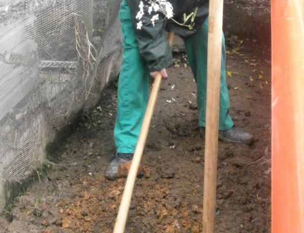 Actividad medioambiental Día del Árbol. Centro Socioeducativo Juvenil de Cantabria. Fundación Diagrama.