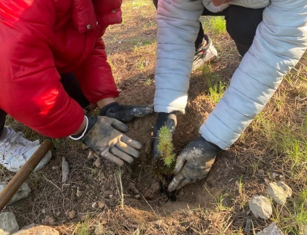 Los dos jóvenes, mientras plantan uno de los ejemplares de pino