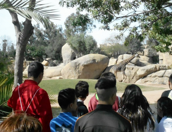 Visita a Bioparc. Centros 'Pi i Margall' y 'Mariano Ribera'. Fundación Diagrama.