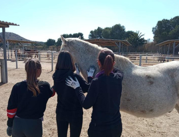 Jóvenes menores de la residencia de acogida ‘Lucentum’ realizan actividades terapéuticas con caballos rescatados
