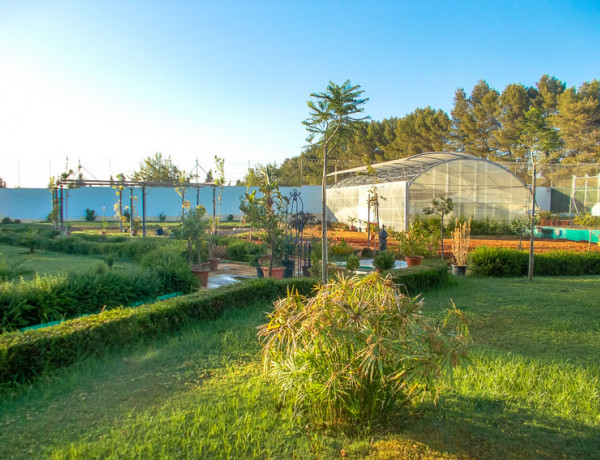 Un grupo de jóvenes del centro ‘Los Alcores’ en Carmona (Sevilla) finalizan su formación en jardinería en la Casa de Oficio