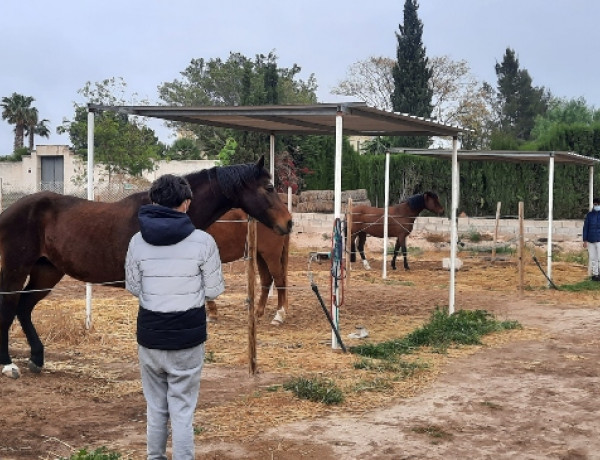 El Centro Ecuestre Mutxamel recibe la visita de los jóvenes atendidos en el Hogar ‘La Magrana’ de Alicante 
