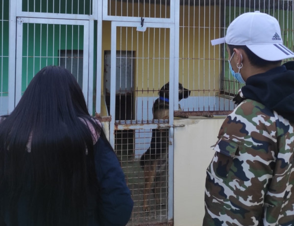 El centro de protección animal ‘Sa Coma’ abre sus puertas a las personas menores atendidas en el servicio de acogimiento ‘Illa de Bes’ de Ibiza. Fundación Diagrama 2022.