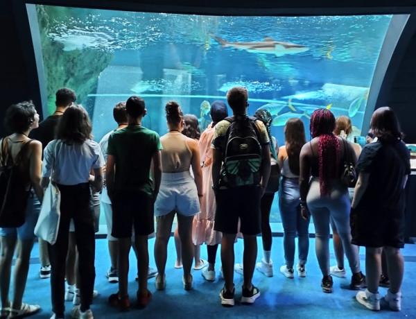 El grupo observa el acuario del BioDomo