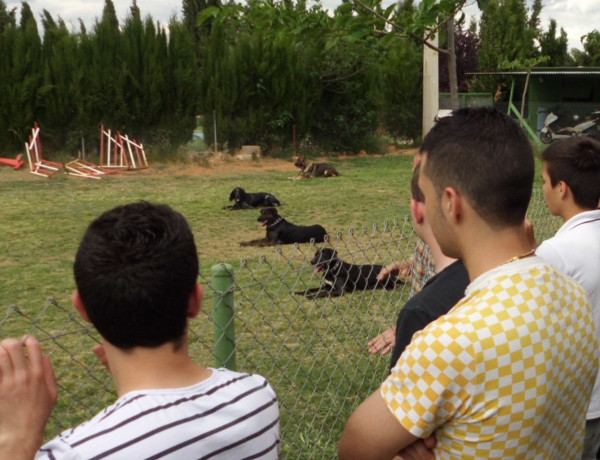 La Protectora de Animales de Castellón imparte un sesión de sensibilización a los menores del Centro ‘Pi Gros’ de esta provincia