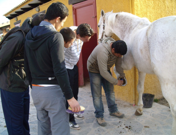 Menores del Centro de Reeducación ‘Els Reiets’ aprenden el cuidado de los caballos durante una visita al Club de Hípica ‘Los Establos’