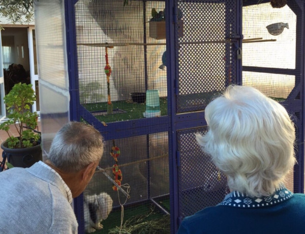 Las personas mayores de la residencia ‘María de la Paz’ de Nerva (Huelva) descubren los beneficios del cuidado de animales