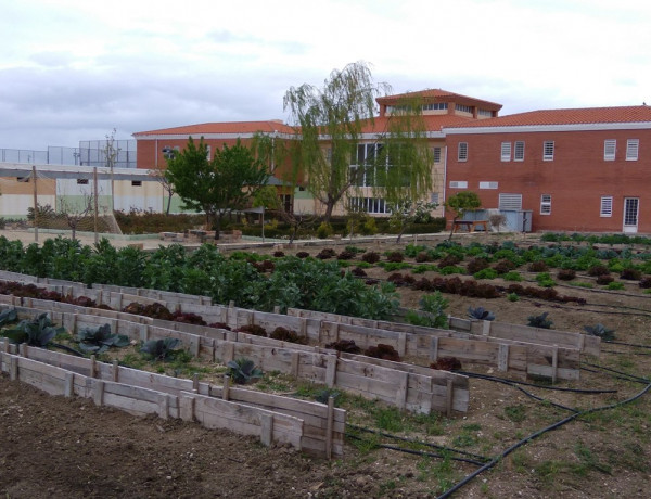 Huerto ecológico del centro 'Las Lagunillas' . Fundación Diagrama.