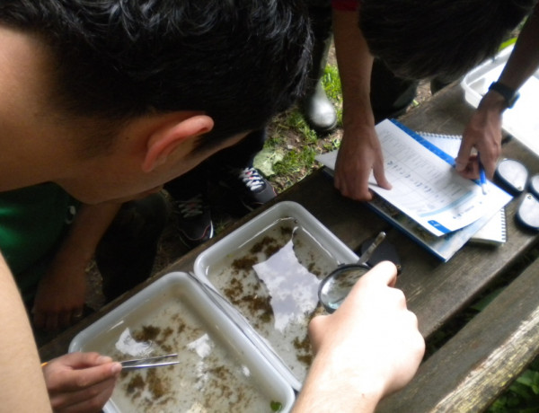 Los menores del Centro Socioeducativo Juvenil de Cantabria participan como voluntarios en una actividad medioambiental en el río Miera