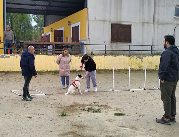Exhibición adiestramiento canino Fundación Centauro Quirón a jóvenes centro 'Las Moreras'