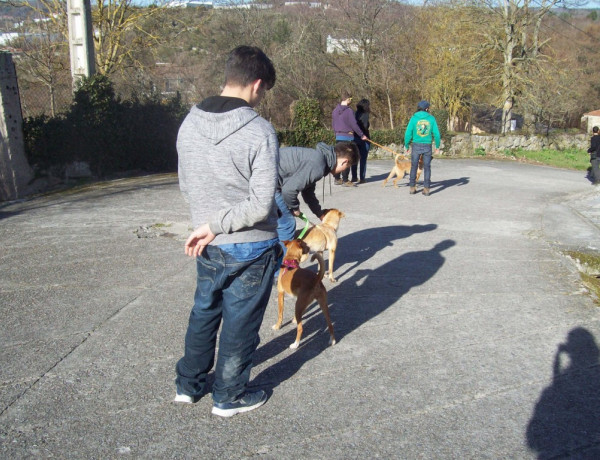 Los jóvenes atendidos en el centro ‘Montefiz’ de Ourense completan el Programa de Terapia Asistida con Animales. Fundación Diagrama. Galicia 2018.