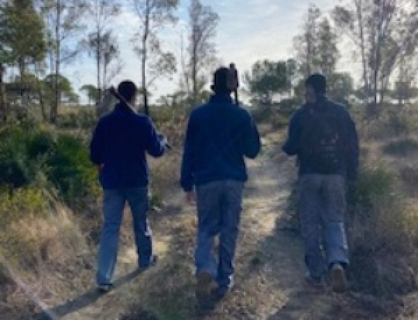 Un grupo de menores atendidos en el centro ‘Odiel’ de Huelva colaboran en la reforestación de los pinares del municipio de Mazagón.