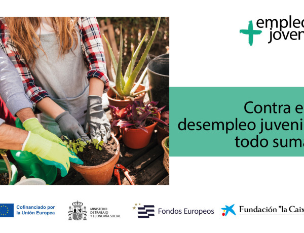 Proyecto Horizonte Joven de Fundación Diagrama