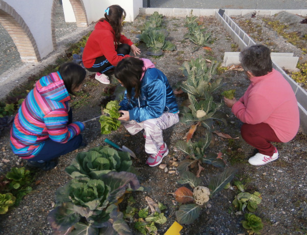 Taller de jardinería. Centro de Día Puerto Lumbreras. Fundación Diagrama.