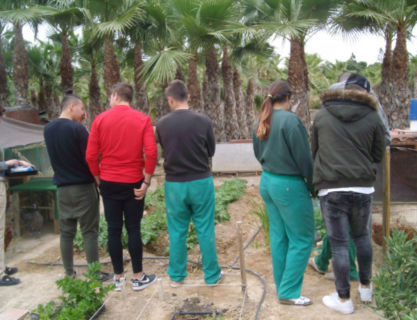 Jóvenes del centro ‘Els Reiets’ visitan el Huerto Social Alicante para formase en agricultura ecológica